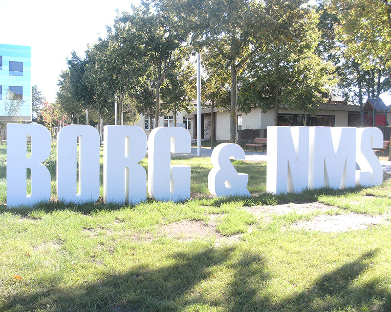BORG & NMS Deutsch Wagram