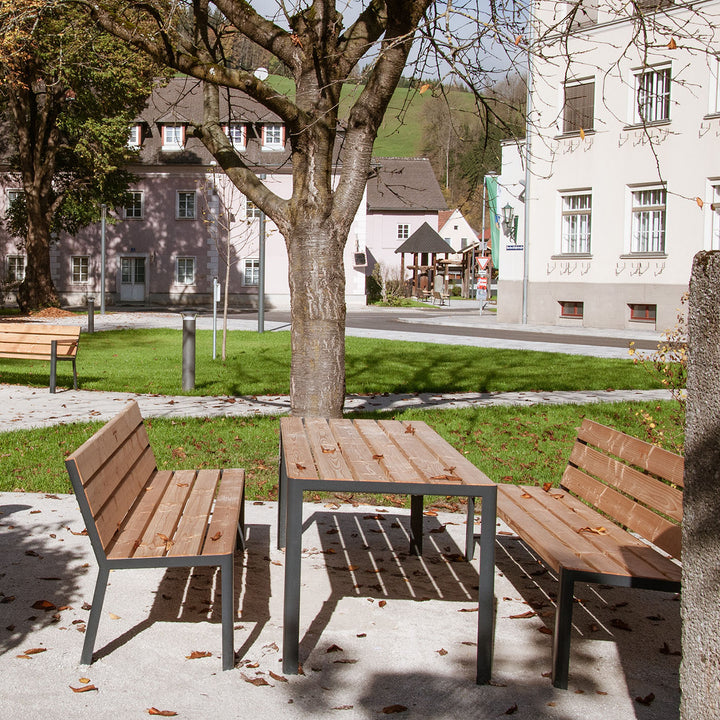 Disch (Tisch)