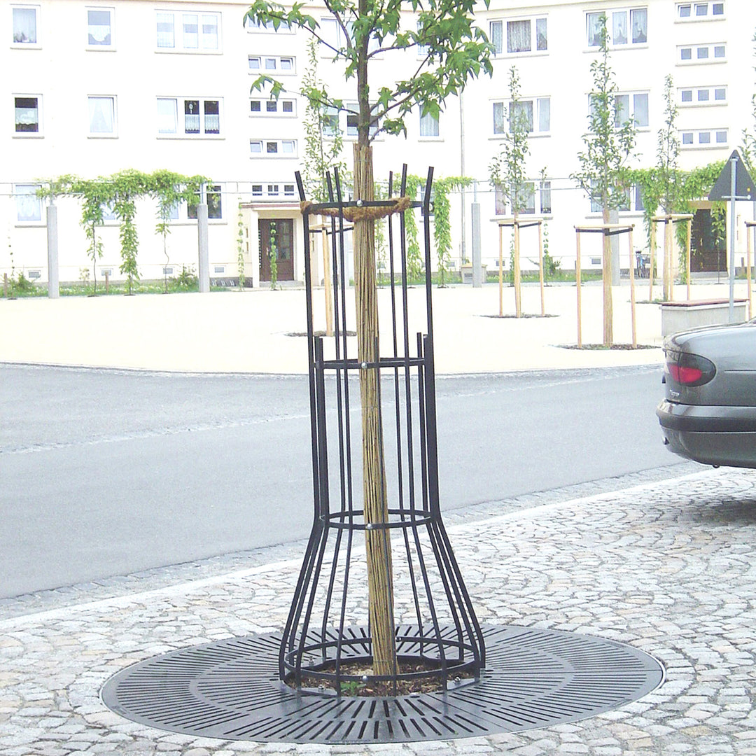 Baumrost von connexurban