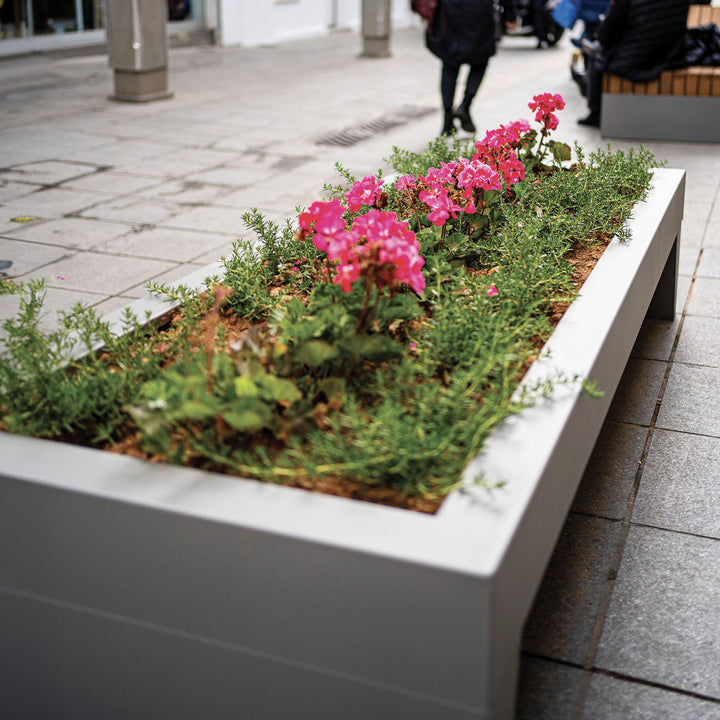 Isolaurbana Blumentröge