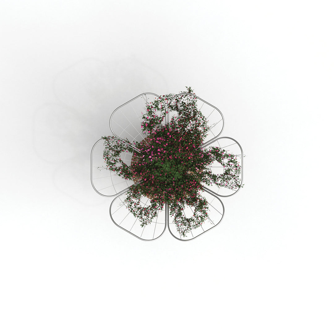 Mirabilis