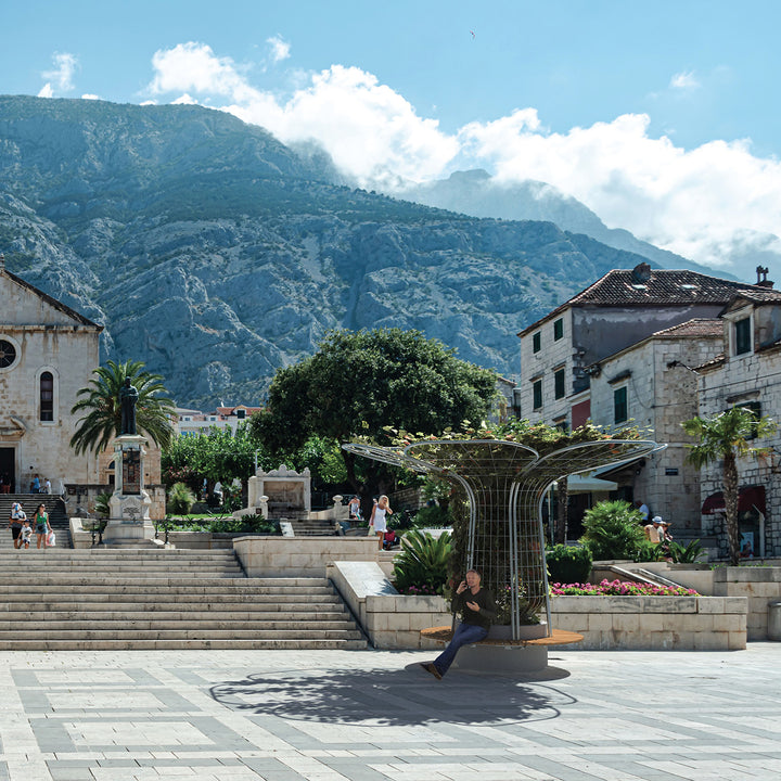 Mirabilis