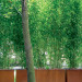 bambu pflanztröge